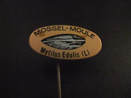 Mossel (Mytilus edulis) eetbare mossel